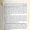 Gạo thơm đặc sản Neptune ST25 lúa tôm